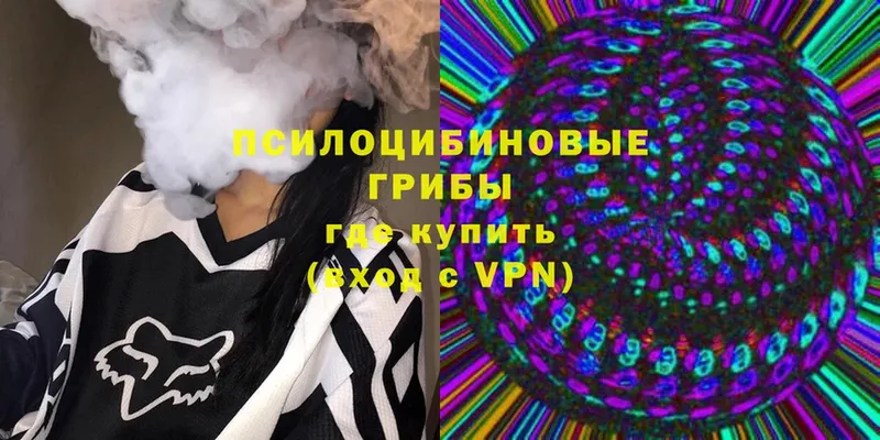 наркошоп  Уфа  Псилоцибиновые грибы MAGIC MUSHROOMS 